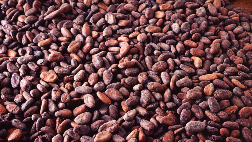 Россия намерена расширить импорт из Африки тропических фруктов и какао-бобов