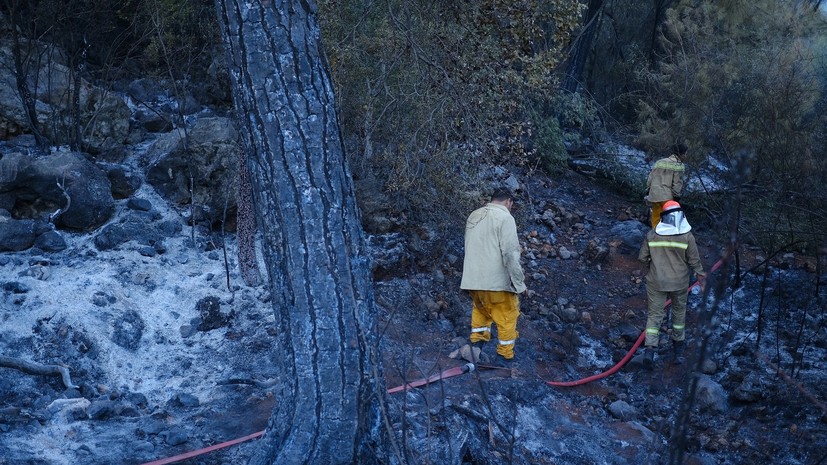 На юге Турции удалось взять под контроль лесной пожар