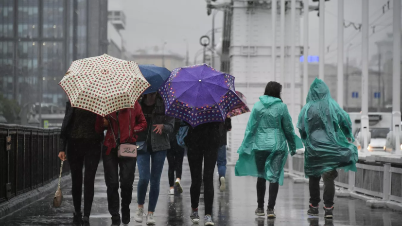 Синоптик Леус: в Москве 29 июля ожидаются дожди и до +19 °С