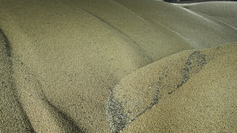 «Укринформ»: в один из зерновых терминалов Украины на Дунае прибыли три грузовых судна