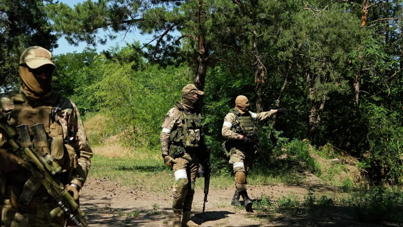 Старовойт: добровольцам территориальной самообороны Курской области выдали оружие