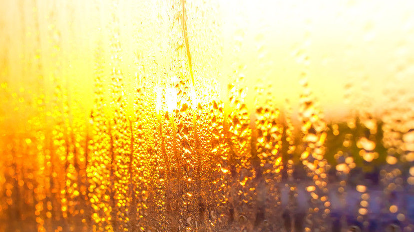 В Тульской области ожидается повышение температуры до +34 °C в ближайшие дни