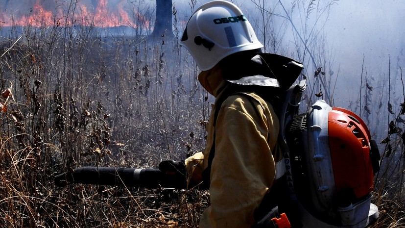 Власти Коми сообщили о лесных пожарах площадью 22 гектара на фоне гроз