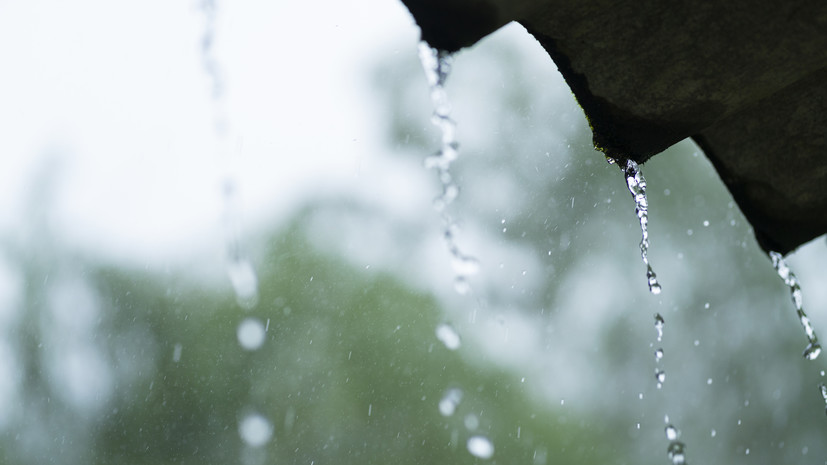 Синоптик Ильин спрогнозировал грозы и ливни в Тульской области с 11 августа