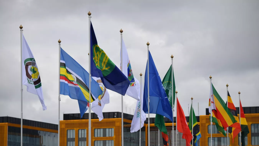 Дочь первого президента Алжира заявила о необходимости создания ассоциации стран Африки