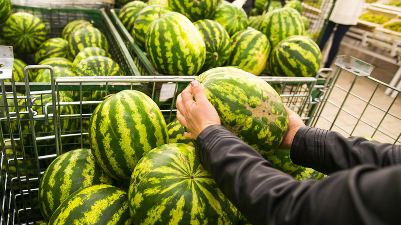 Специалист Егорова: от сорта арбуза зависит содержание полезных веществ