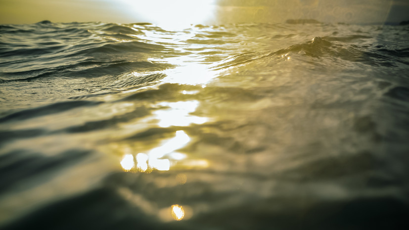 Ученица девятого класса спасла тонущего пенсионера в Тамбовской области