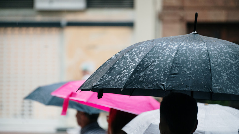 Жителей Челябинской области предупредили о ливнях с ураганным ветром 8—9 августа