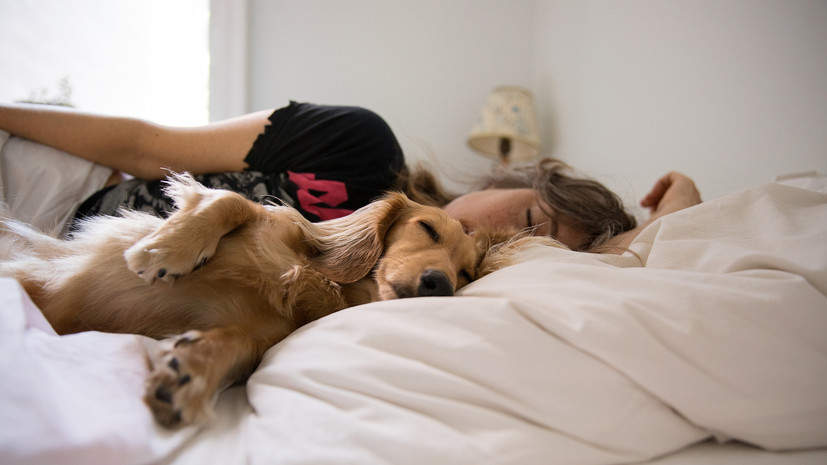 Психолог Лобанова: домашние животные помогают справиться со стрессом