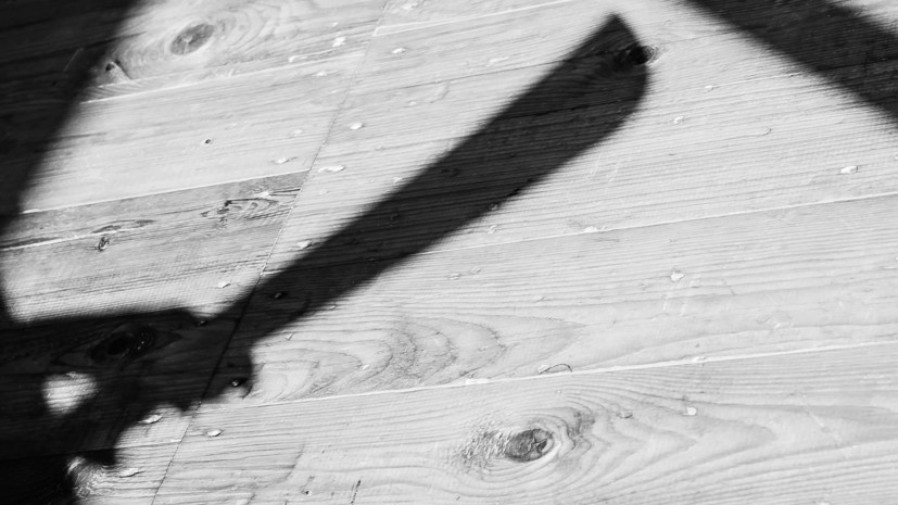 В Германии на мужчину напал злоумышленник с мачете