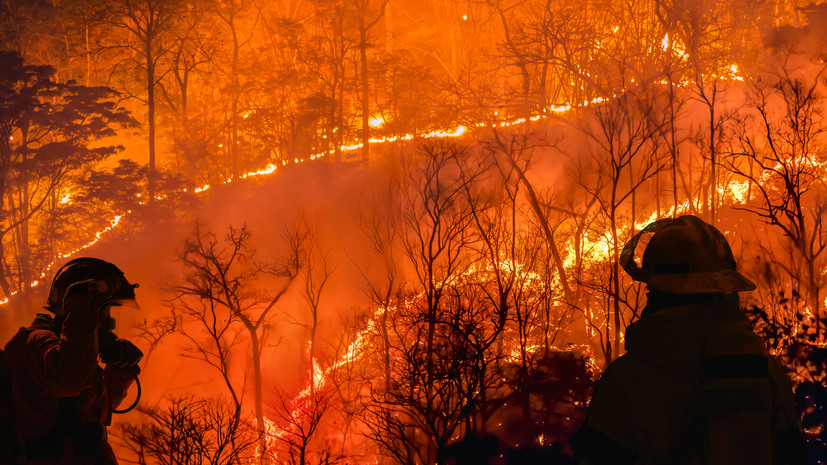 В Калифорнии началась эвакуация населения из-за лесного пожара