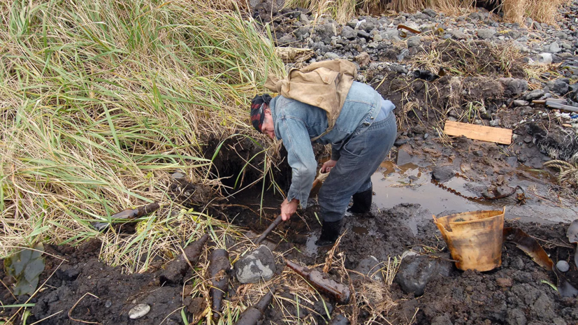 В Клину обнаружили останки более 50 красноармейцев