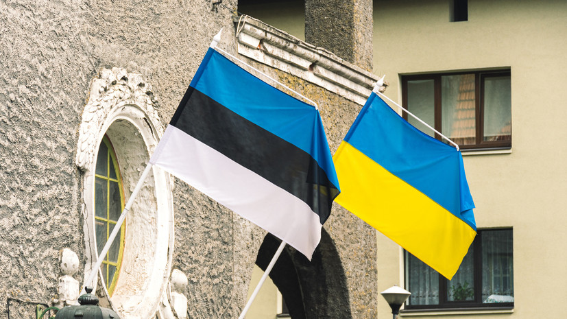 Власти Эстонии заявили о готовности предоставить Украине гарантии безопасности