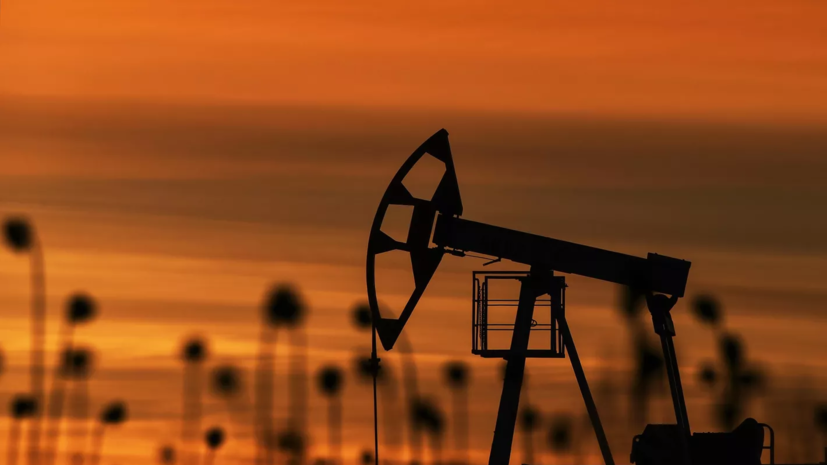 Аналитик Юшков спрогнозировал цену барреля нефти марки Brent в сентябре от $80