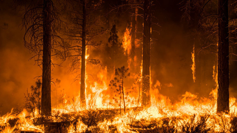 На севере Канады из-за лесных пожаров эвакуируют целый город