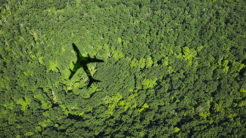Посольство: Аргентина заинтересована в прямых рейсах с Россией
