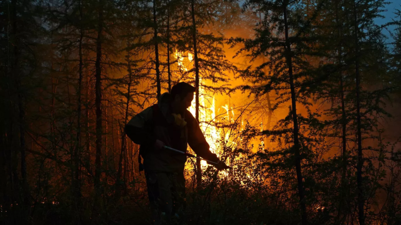 Более 7,6 тысячи человек эвакуированы из-за лесного пожара на Канарах