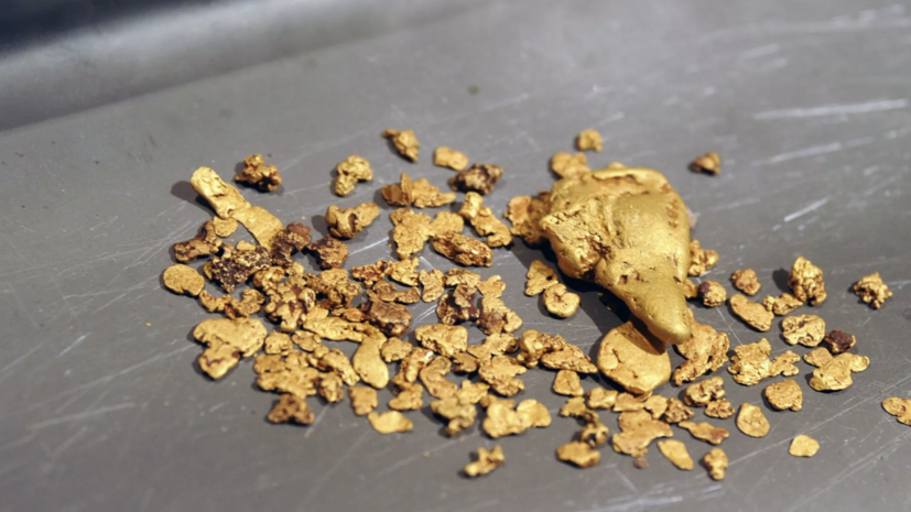 Генеральный прокурор Краснов поручил проверить золотодобычу России