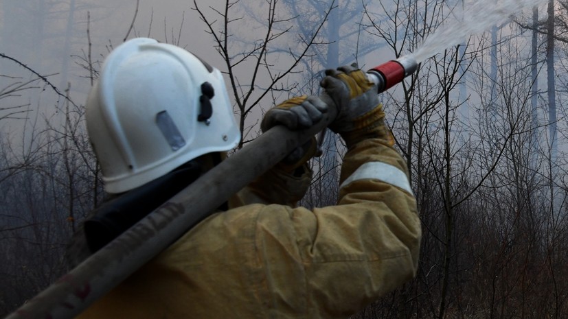 В ЯНАО действуют два природных пожара общей площадью 11,6 га