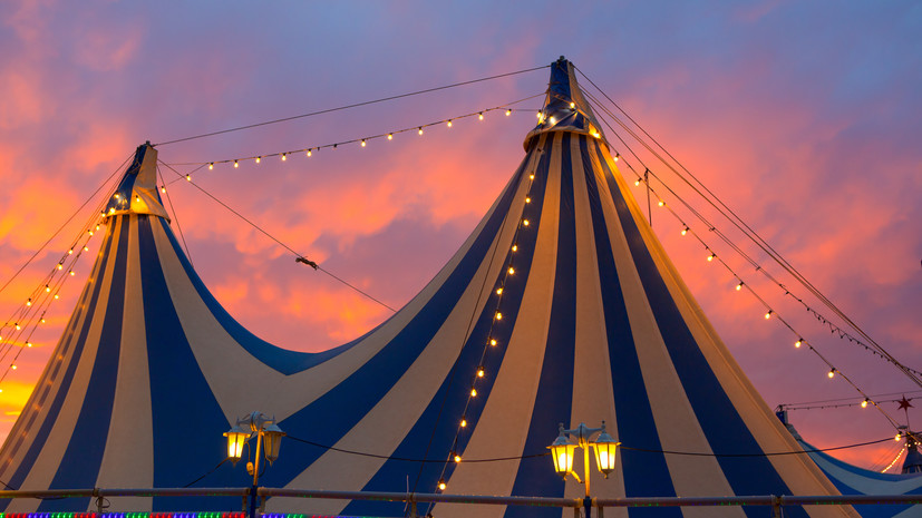 Объявлен список участников фестиваля циркового искусства «Без границ»