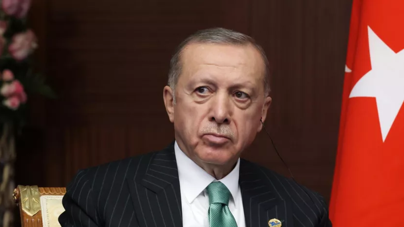 NTV: Эрдоган может сам посетить Россию для переговоров с Путиным