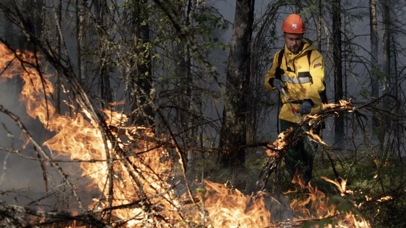 В Удмуртии высокая пожароопасность лесов сохранится до 28 августа