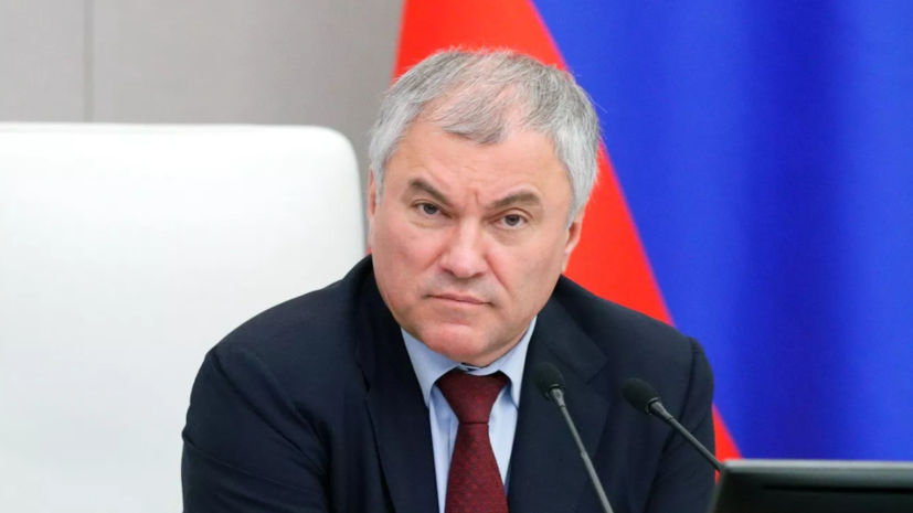 Володин назвал основной проблемой Польши «сумасшедших у власти»