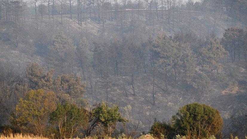 Лесной пожар на северо-западе Турции взяли под контроль