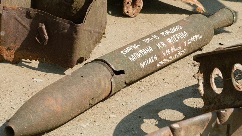 В Ленинградской области обнаружили 10 снарядов времён Великой Отечественной войны