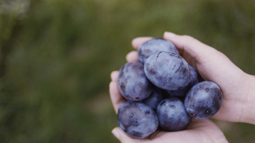 Нутрициолог Богданова: употребление слив способствует омоложению кожи лица