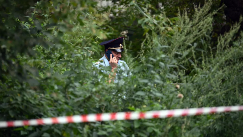 Обломки сбитого ночью в Подмосковье беспилотника нашли в Истре