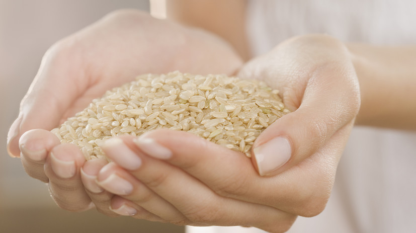 Bloomberg: в Индии ввели ограничения на поставки риса