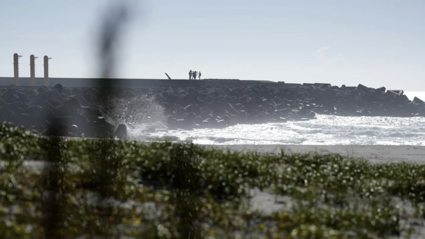 Китайцы начали вывозить соль из Приморья после сброса воды с АЭС «Фукусима-1»