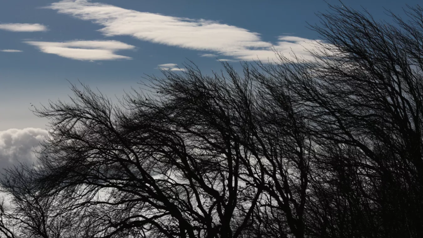 В Тюменской области ожидается усиление ветра до 18 м/с 30 августа