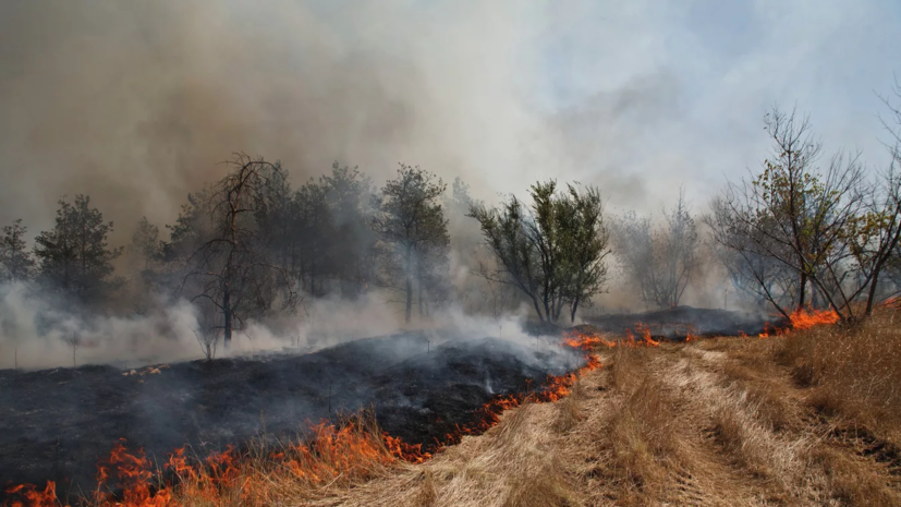 Возгорание сухой травы в Геленджике ликвидировано