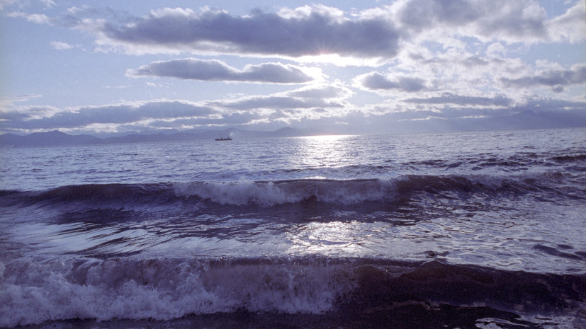 ВНИИ ГОЧС: в Охотском и Беринговом морях ожидаются волны высотой до 8,5 м