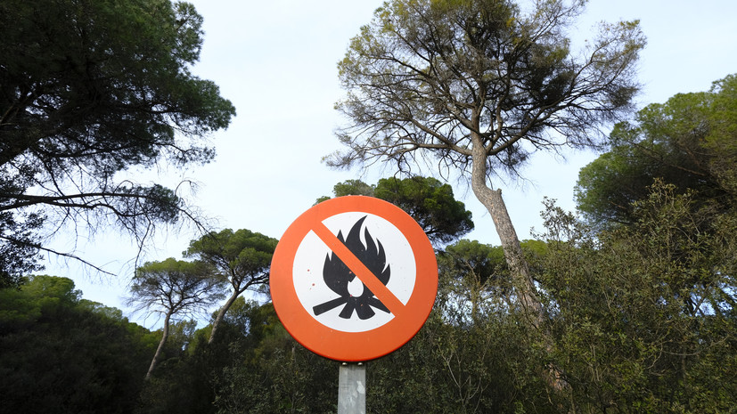 Специалист Кузнецов рассказал о правилах поведения в лесу в пожароопасный сезон