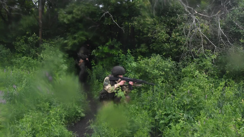 Военная хроника раскрыла подробности уничтожения военного эшелона ВСУ в ДНР