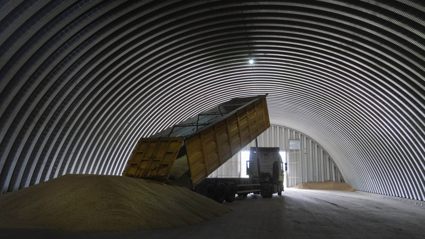 В Польше заявили, что не станут ввозить зерно с Украины после 15 сентября