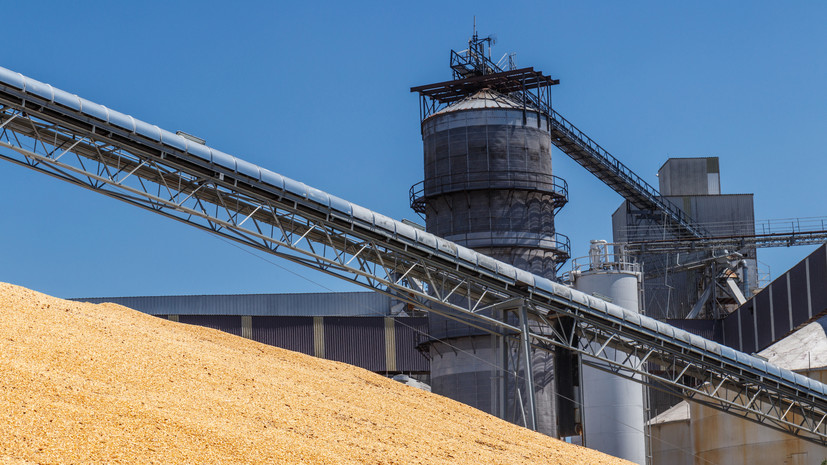 Вершинин сообщил о начале поставок 1 млн тонн зерна нуждающимся странам