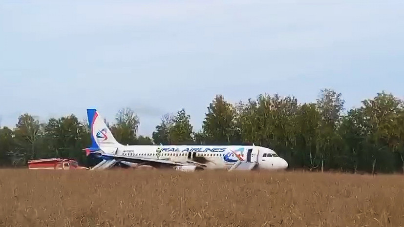 «Обошлось без жертв»: самолёт «Уральских авиалиний» совершил экстренную посадку в пшеничном поле под Новосибирском
