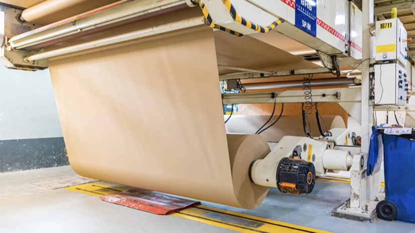 Ефимов: столичные производители увеличили выпуск бумаги практически на 10%