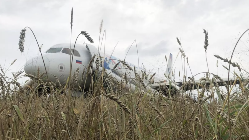 Дамир Юсупов заявил, что гордится коллегами из «Уральских авиалиний»