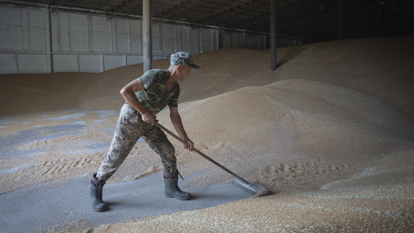 Власти Польши постановили запретить ввоз зерна с Украины после 15 сентября