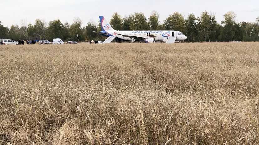 Посадивший самолёт в Новосибирской области капитан Белов повторил подвиг отца