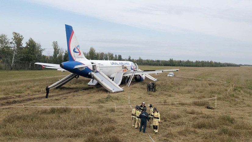 Посадка на пшеничном поле: что известно об экипаже рейса Сочи — Омск, который спас жизни 167 человек