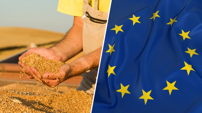Просто бизнес: почему ряд стран ЕС намерены добиться запрета на ввоз зерна с Украины