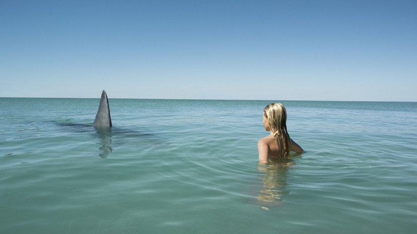 Очевидец рассказал, что акула укусила девушку за плечо на курорте в Египте
