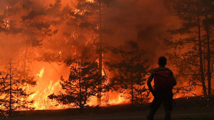 В борьбе с лесными пожарами в Свердловской области летом участвовали более 25 тысяч человек