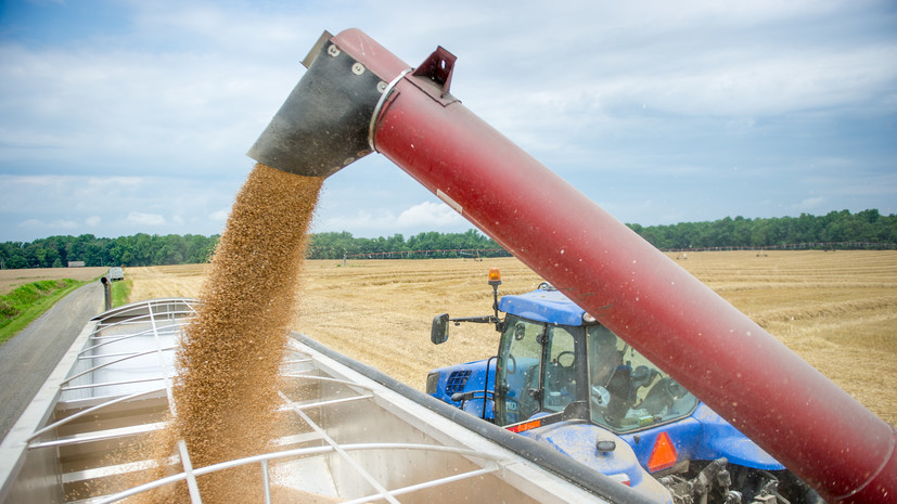 Депутат Белик: украинское зерно не должно стать причиной для проблем фермеров Европы